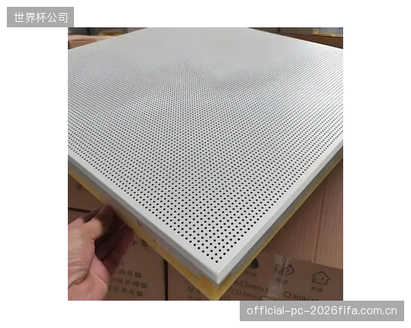 一项针对30个大型体育馆的调研:声学相关投资(含吸音板)占总建安成本的比例,已从1.5%悄然升至3.2% 一项针对30个大型体育馆的调研:声学相关投资(含吸音板)占总建安成本的比例,已从1.5%悄然升至3.2%